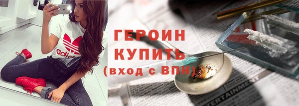 гидра Инта