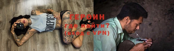 гидра Инта