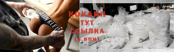 гидра Инта