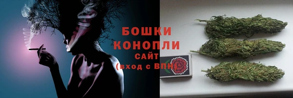 гидра Инта