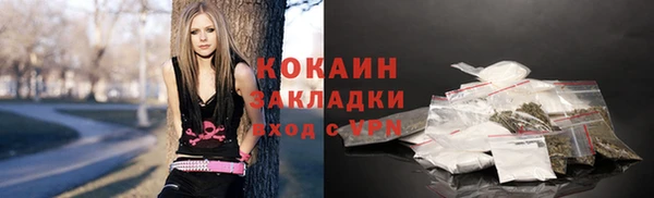 гидра Инта