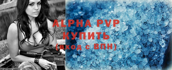 гидра Инта