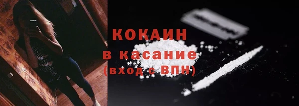 гидра Инта
