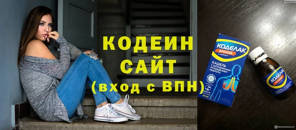 гидра Инта