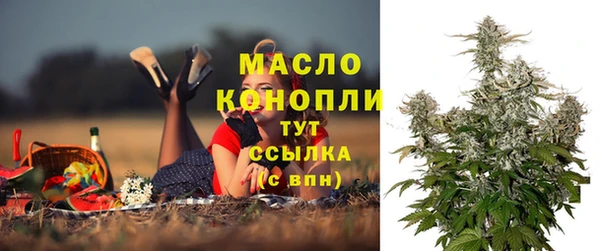дживик Инсар