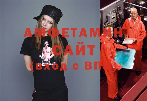 гидра Инта