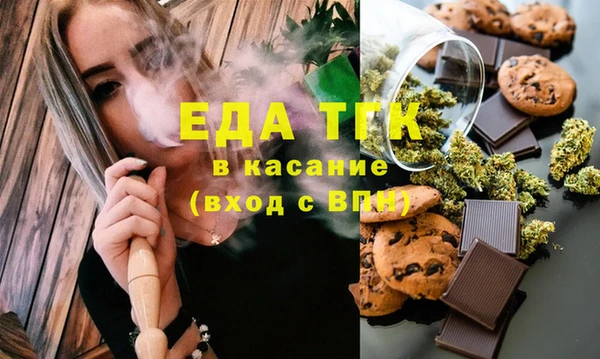 гидра Инта